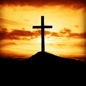 Meet your Posher, Alida